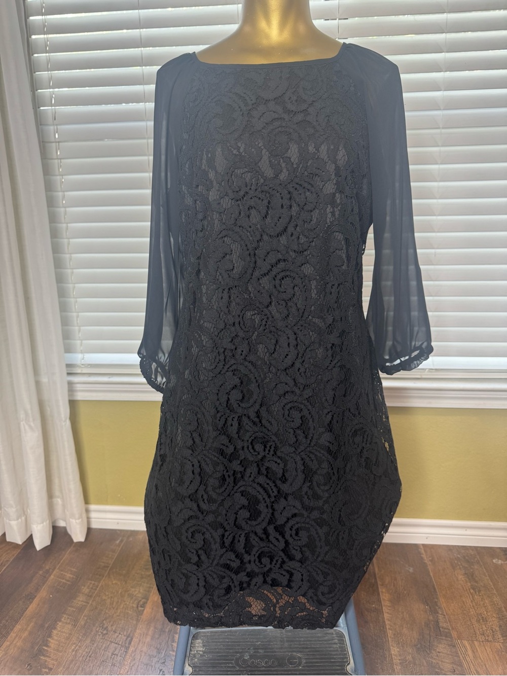 Adrianna Papell Black Lace Shift Dress with Sheer Sleeves